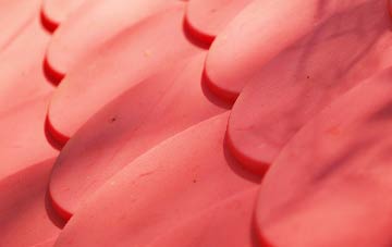 Tugnet plastic roof costs