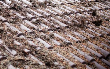 Tugnet roof cleaning companies