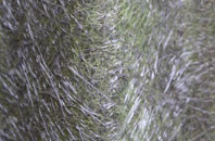 Tugnet fibreglass roof work